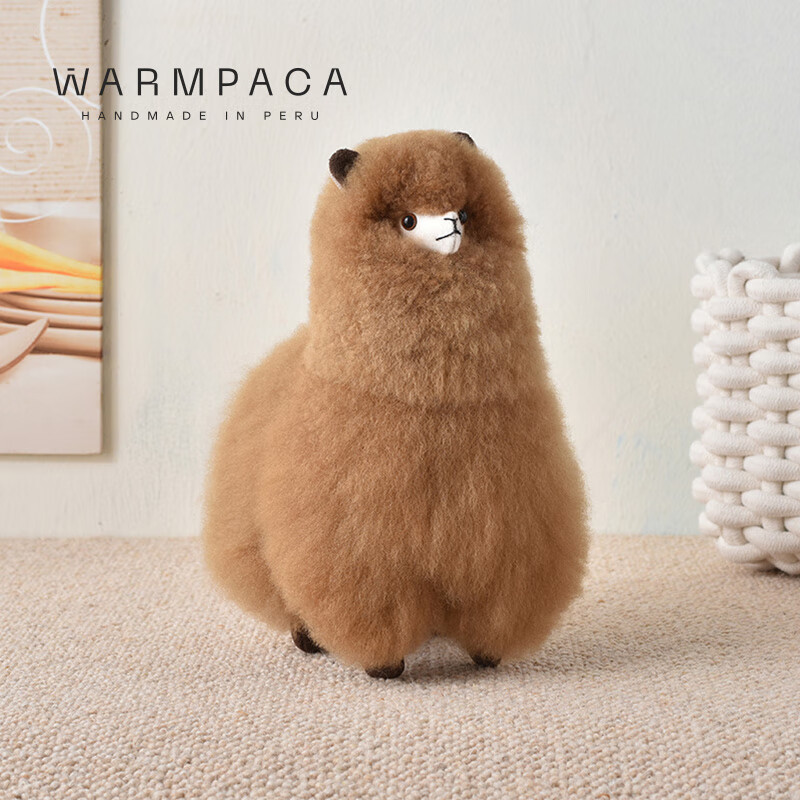 Warmpaca A-01225380