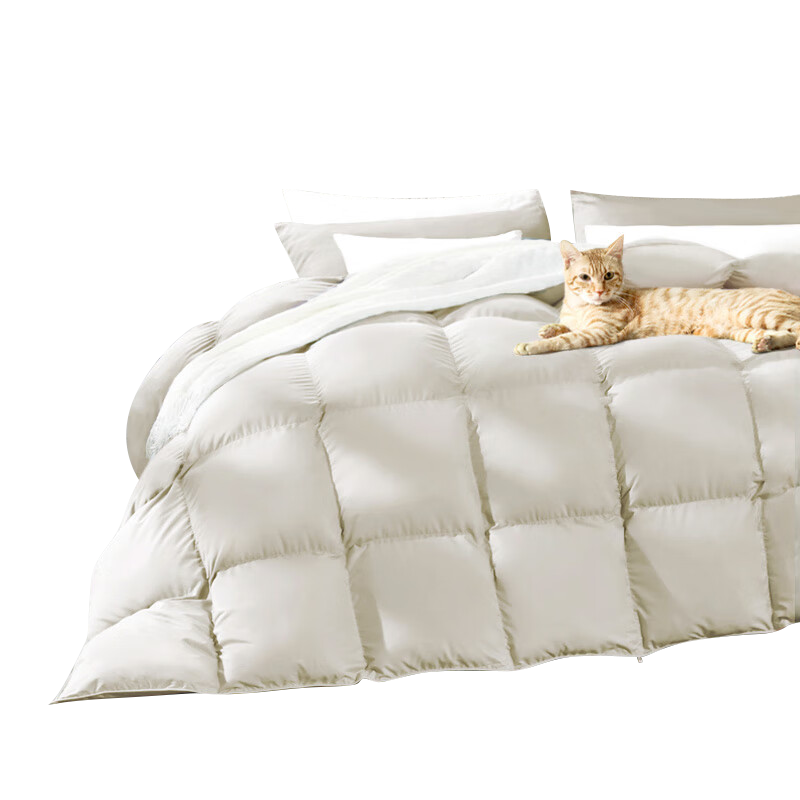 FUANNA down Comforter, 50% White Goose down, Spring And Autumn Double Bed Duvet, 400g Filling, 152×210cm, Xingyu
