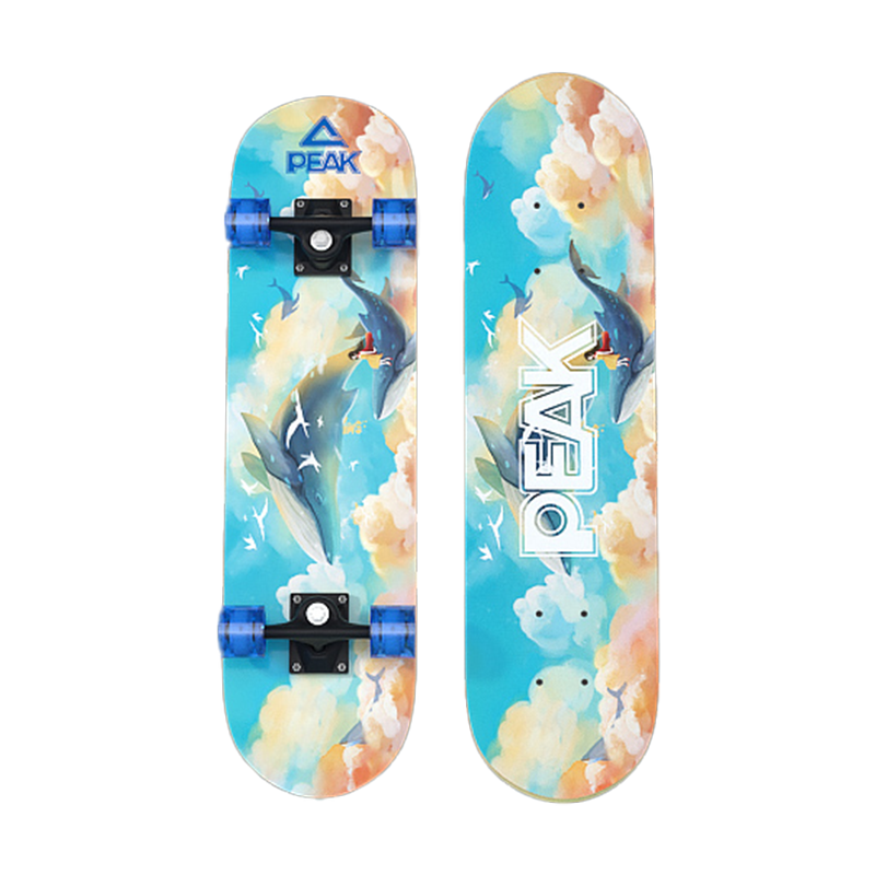 PEAK Children's Skateboard for Ages 6-12, Double-Warped Board for Beginners, Youth Flash Wheels, Four-Wheel Street Skateboard for Commuting