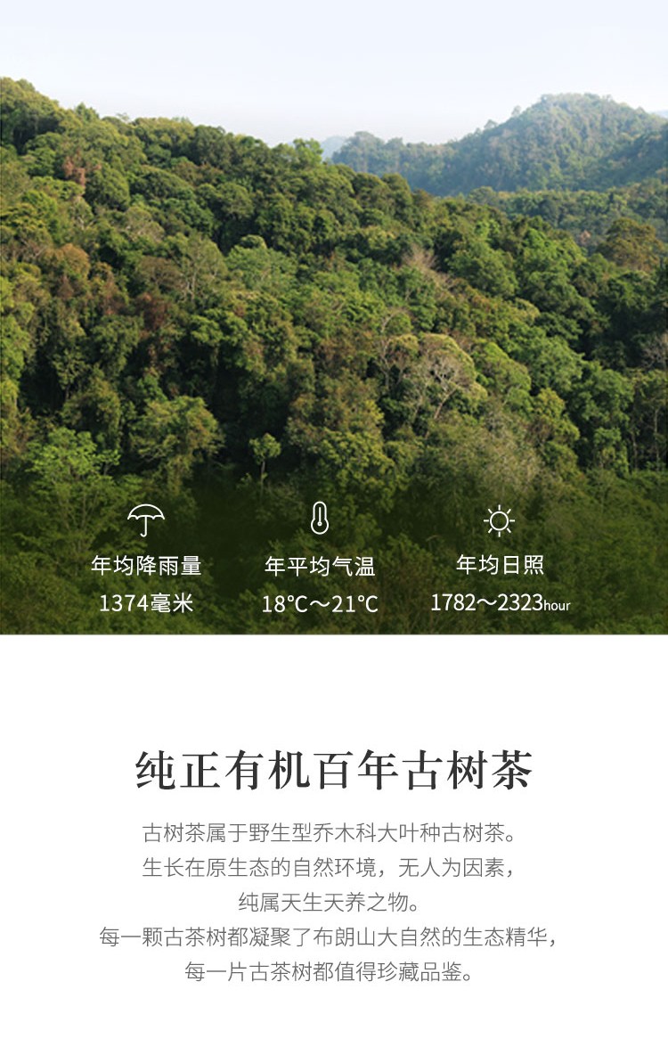 班龙韵熟茶357-3.jpg