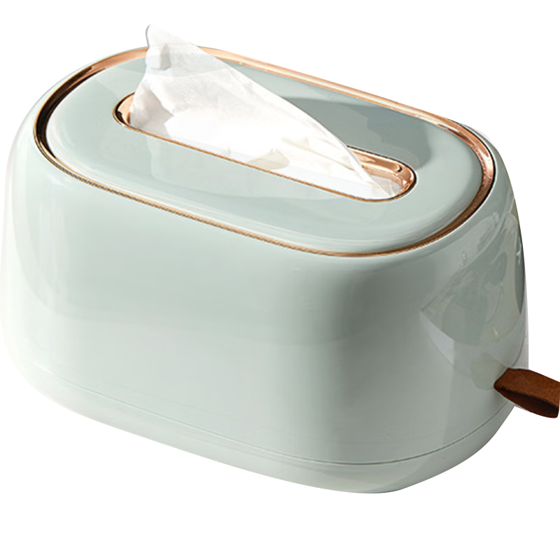 Youjialiangpin Tissue Box, Living Room Napkin Holder, Storage Box with Spring, Light Luxury Towel Box, Household Roll Paper Dispenser, Light Gree