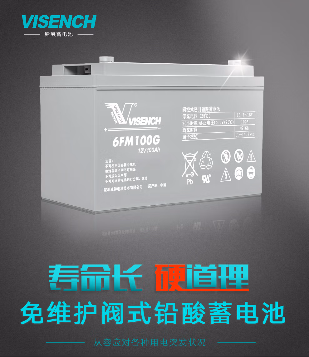 VISENCH蓄电池 UPS电源 铅酸免维护蓄电池6FM100 100AH
