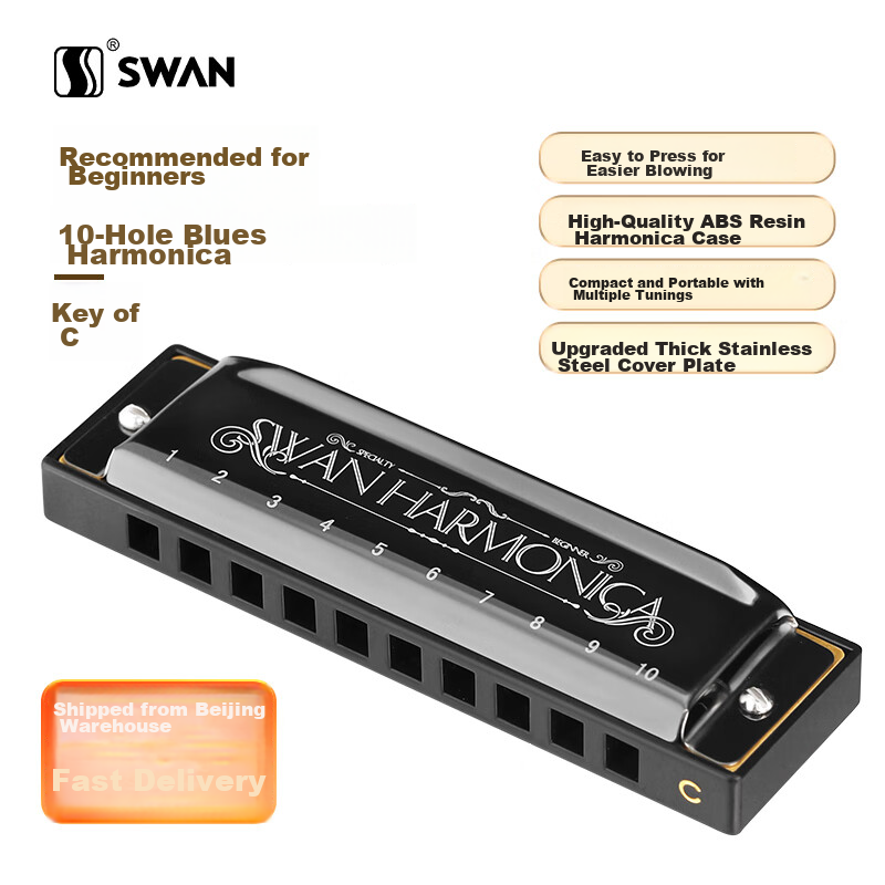 SWAN 10-Hole Blues Harmonica in C Key for Students, Children, Beginners, Entry-Level Blues Harmonica Musical Instrument, Black