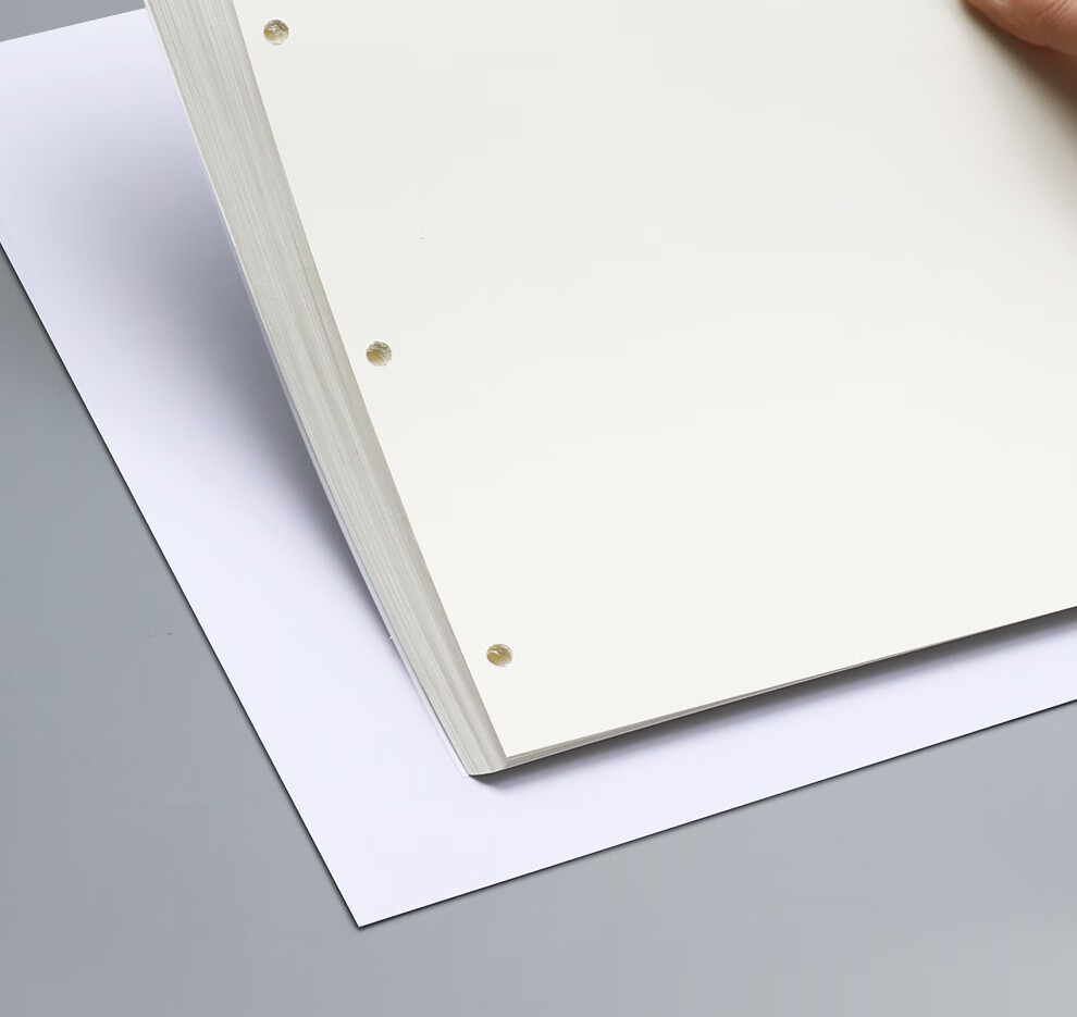 Faramon [Lowest Price Online] Blank Refill Notebook Compatible with 4-Hole A4, 80 Sheets Loose-Leaf Paper, Blank Thickened Replacement Inner Pages, A4-Blank Inner Pages 10