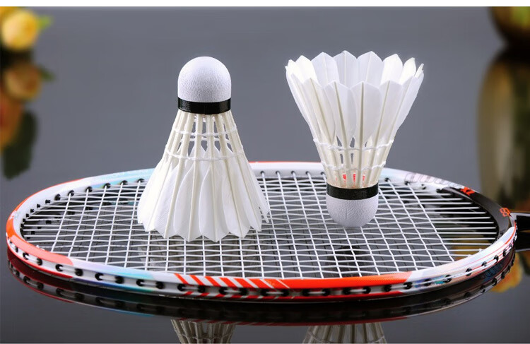 RSL Badminton Training Practice Competition Shuttlecock, DTL-81, Speed 76, 12 Pieces Per Tube 5