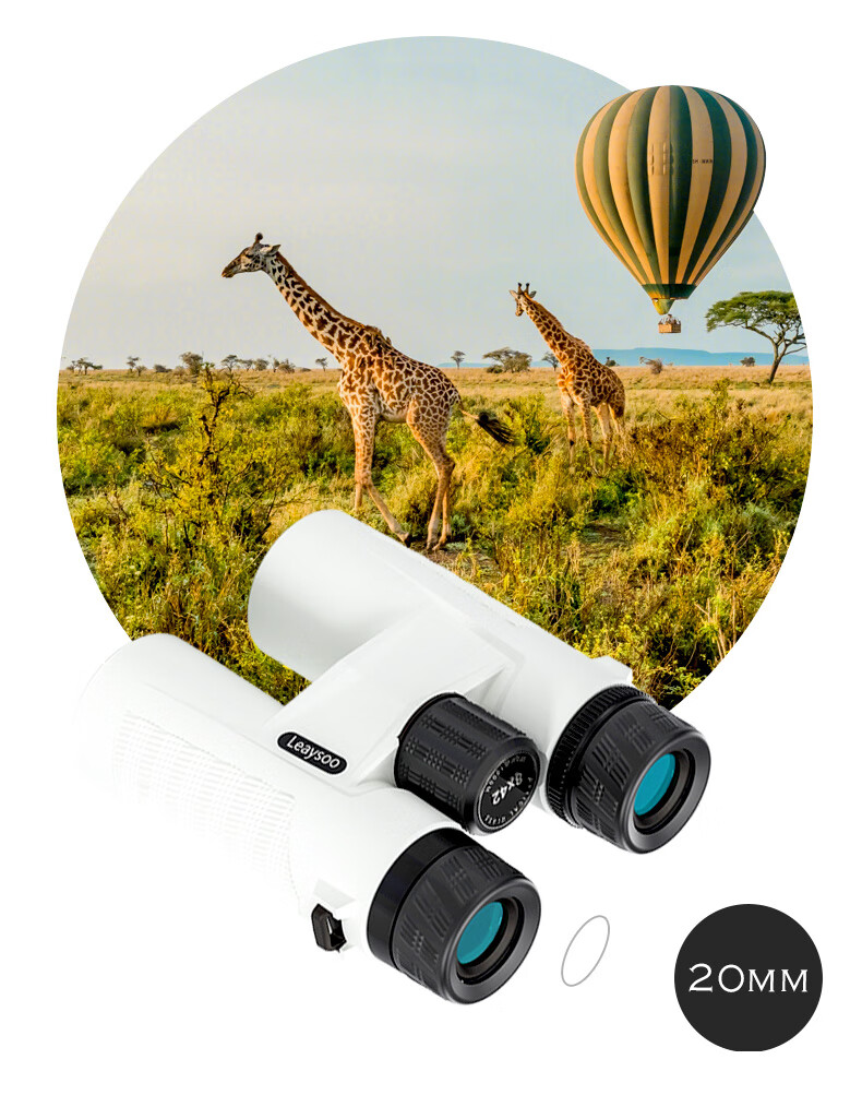Leaysoo Snow Owl 10X42 Adult High-Definition High-Magnification Outdoor Binoculars for Concert Viewing, Professional Observation, And Smartphone Use 5