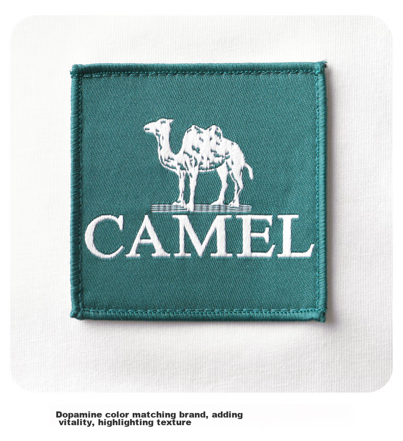 CAMEL Outdoor Short-Sleeve Round Neck T-Shirt, Summer Waterproof And Oil-Resistant, Unisex Style, Loose-Fitting Top for Men And Women, 1138 L 22