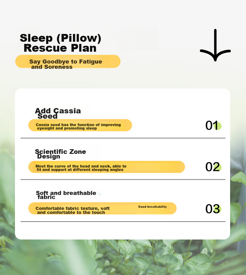 BEYOND Home Textile Pillow, Cassia Seed Pillow Core, Double Pillow Core, Adult And Student Herbal Pillow, Cassia Seed Pillow, 48*74cm 2