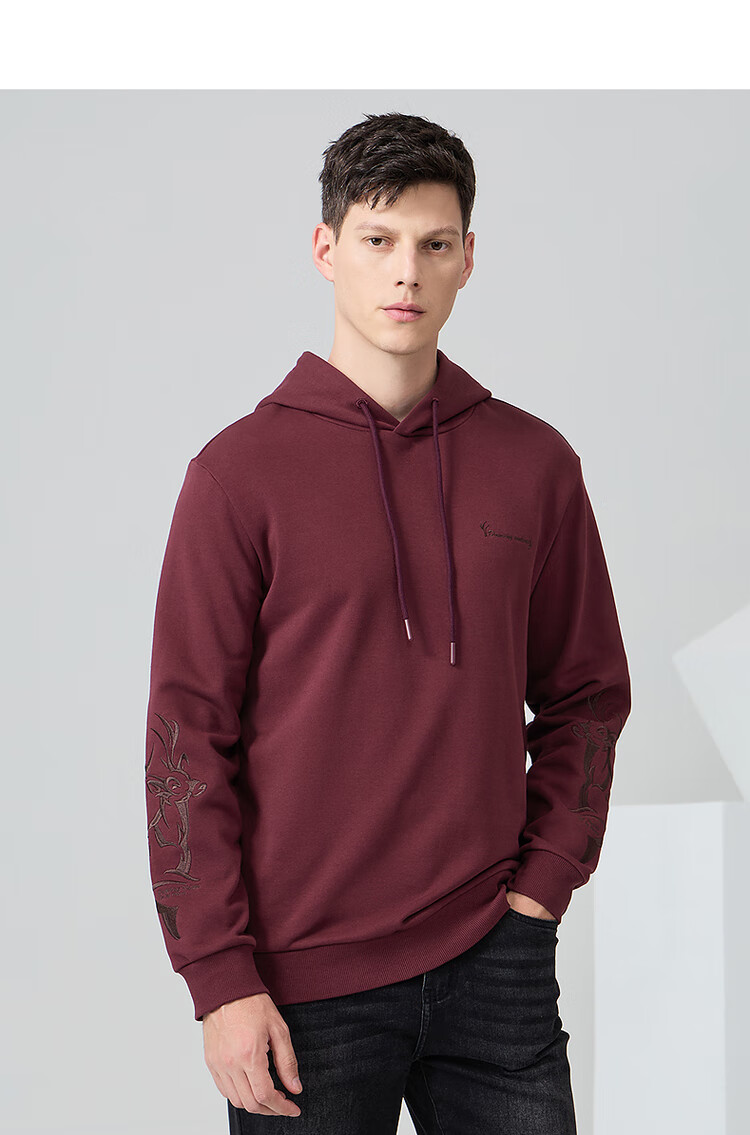 DANCING WOLVES [Jacquard Texture] Autumn And Winter Fashion Versatile Embroidered Hooded Sweatshirt for Men, 001 Black, Size 180 6