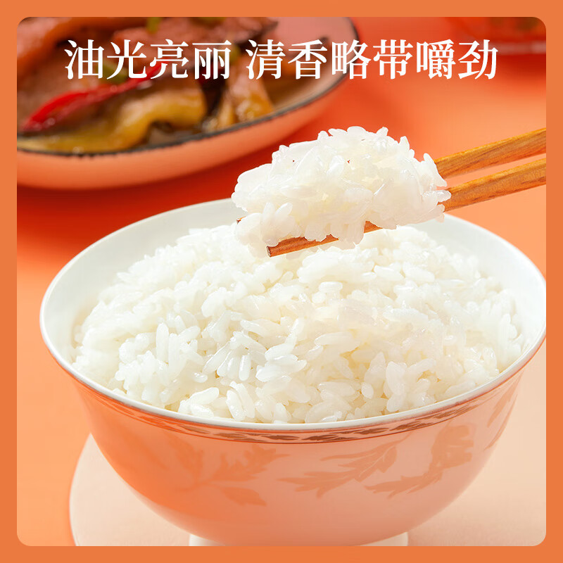 十月稻田 当季新米 长粒王香米 10斤（东北大米 长粒香米 5公斤）