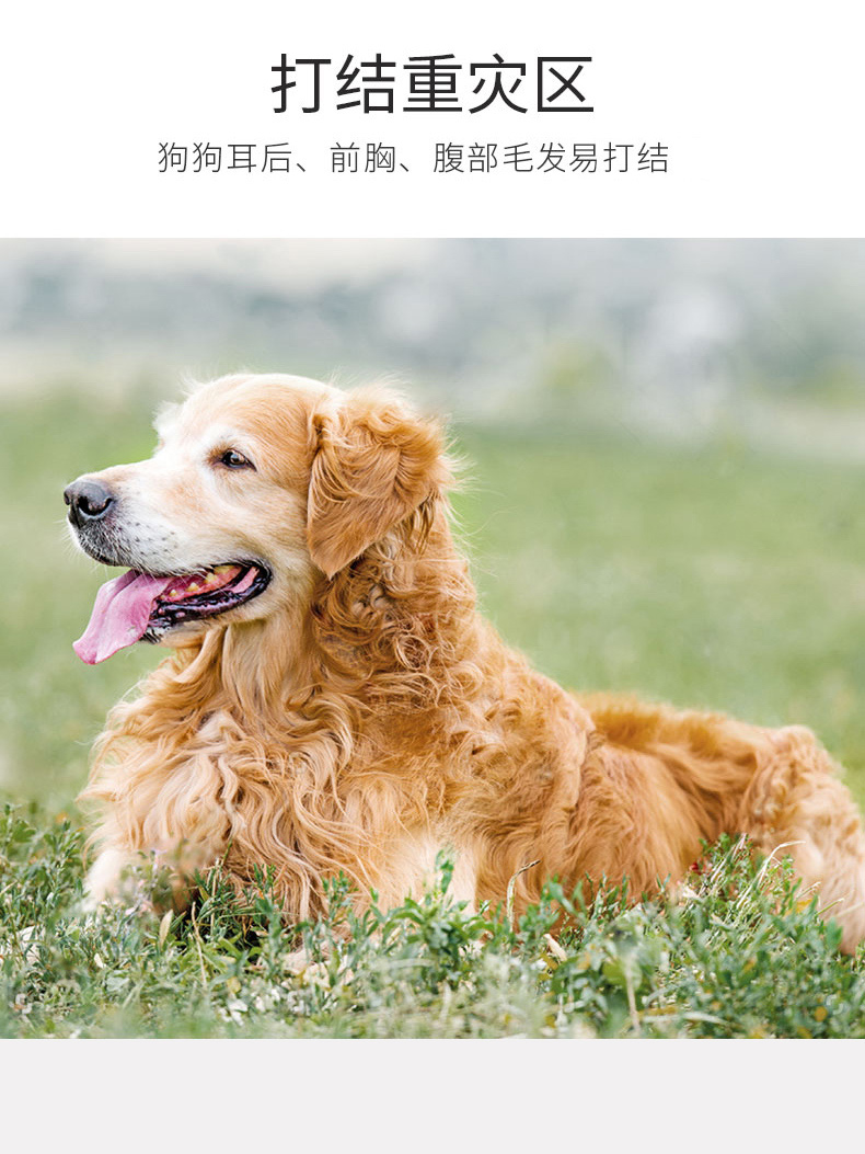 宠物开结梳-(2).jpg