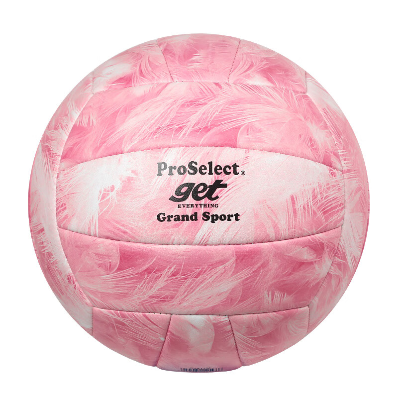 ProSelect Volleyball for Middle School Entrance Exam, Size 5, Children's Training And Test Hard Volleyball GV412M
