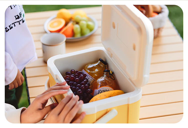 Naturehike Insulated Cooler Box, Ice Storage Box, Outdoor Camping Cooler, Portable Car Refrigerator, Large Capacity 18L 16