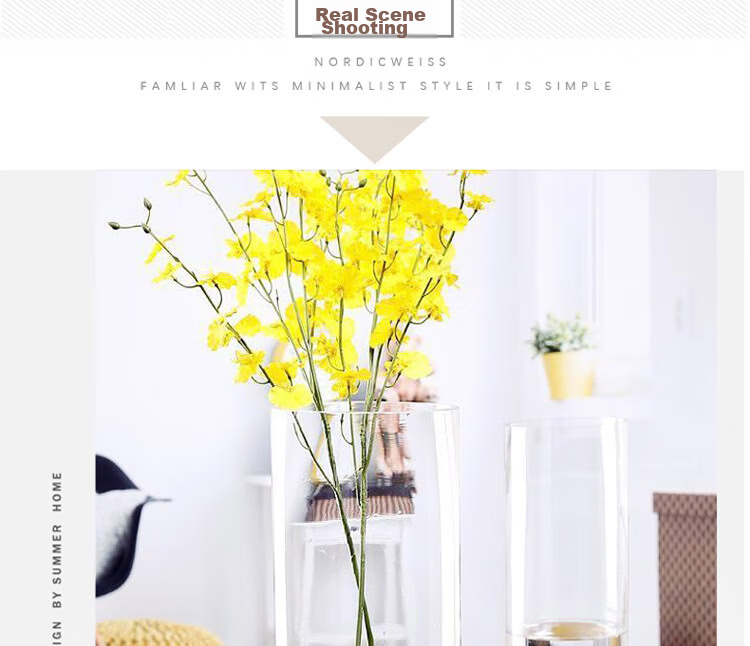 Shengshi Taibao Glass Vase Transparent Lucky Bamboo Hydroponic Container Large Straight Cylinder Vase for Living Room Table Decoration Model 1020 6