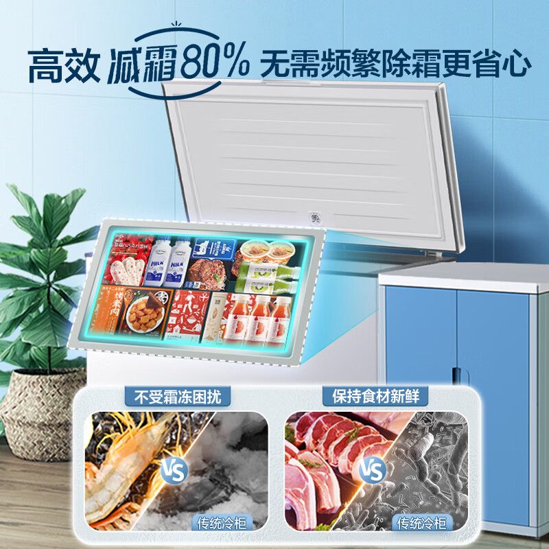 容声（Ronshen）300升低霜大容量冰柜家用商用冷藏冷冻转换冷柜 一级能效 雪糕冰柜 厨房卧式冰箱BD/BC-300ZMSM