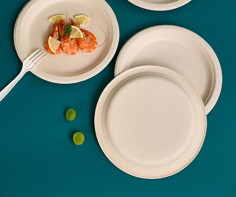 LANZIRAN Disposable Tableware Plates Large Size 9 Inch * 20 Pieces Natural Color Sugarcane Pulp Biodegradable Paper Plates for Picnic And Camping 15