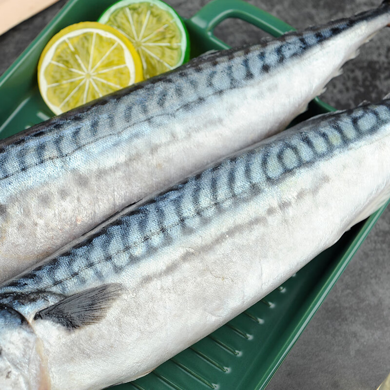 纯色本味 冷冻青花鱼(鲭鱼）2斤 烧烤食材春节也送货春节也送货