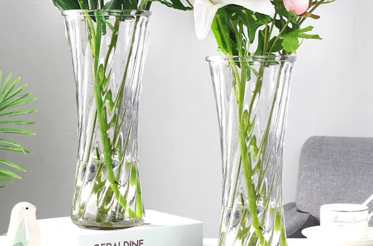 Jidukongjian Glass Vase, Living Room Decoration, Desktop Ornament, Hydroponic Flower Arrangement, Transparent Glass Vase, Diamond-Shaped, Lucky Bamboo 5