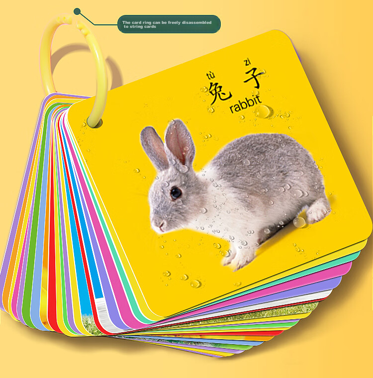 Dipuer Colorful Cards for Baby's Early Education, 3-6 Months Cognitive Cards, Picture Recognition Cards, Animal Cards, Object Recognition Cards 9