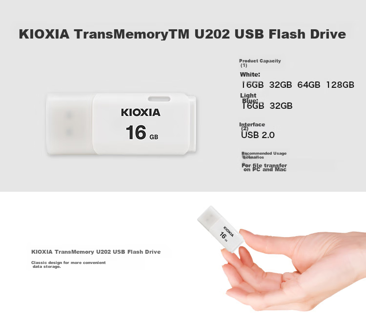Kioxia 256GB USB Flash Drive, U301 Falcon Series, Black, USB 3.2 Interface, Stylish Design, High-Speed Transfer, for Office Work, Study, Car Entertainment, Compatible with Apple Systems 2