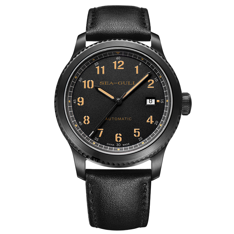 SEAGULL Men's Automatic Mechanical Watch with Date Display And Luminous Hands, Birthday Gift for Men 819.23.6081H