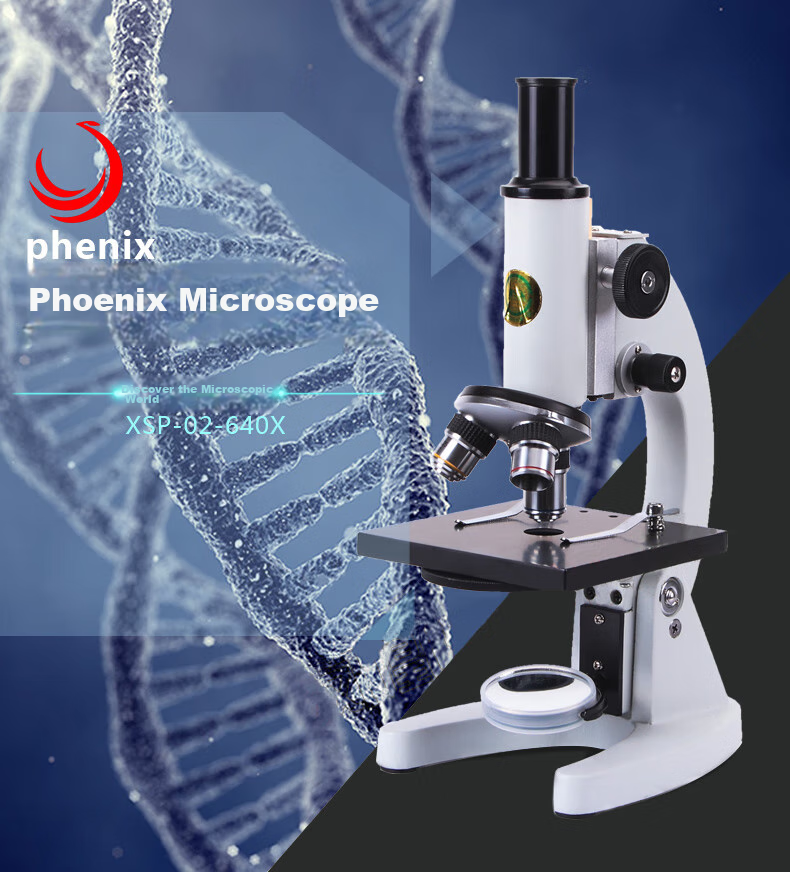 Phenix XSP-02 Monocular Biological Microscope, 640x Magnification, Professional High-Definition, for Primary School And Middle School Entrance Exams, Teaching Model 1