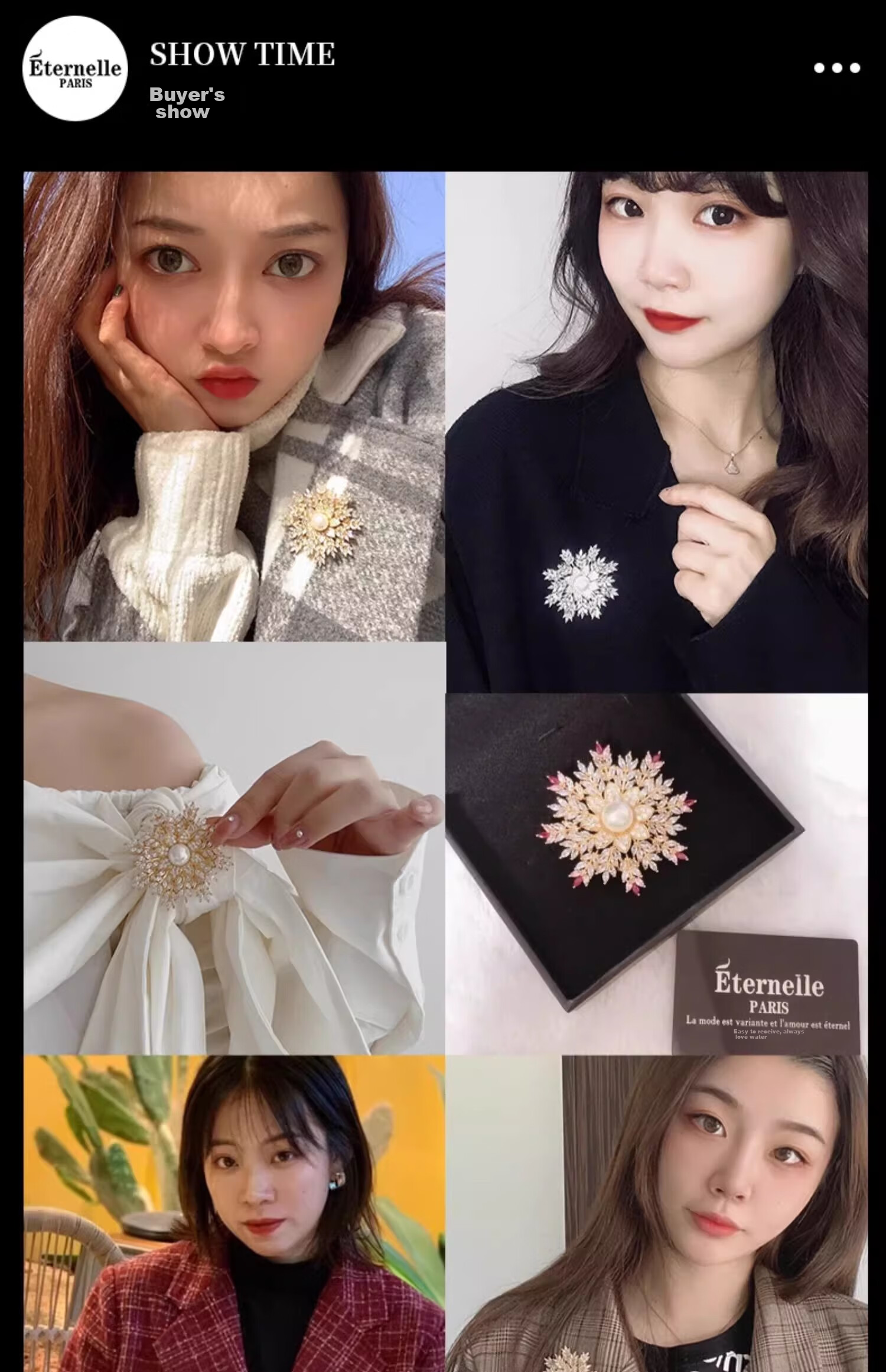 Eternelle French Eternal Design-Inspired Brooch for Women, Elegant Snowflake Pin, High-End Exquisite Silk Scarf Clasp, Birthday Gift 16