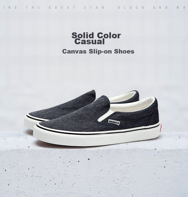 Warrior Canvas Shoes for Men, Comfortable Slip-On Loafers, Traditional Beijing Cloth Shoes, Casual Footwear A066 Gray 41 1