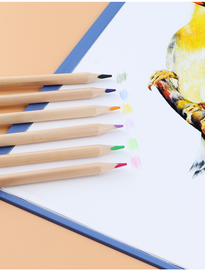 BAOKE PO1624 Wood Oil-Based 24-Color Triangular Barrel Colored Pencils, Coloring Pencils, Drawing Pencils, Paper Tube Packaging, Drawing Tools, Children's Layered Natural Student Pencils 5