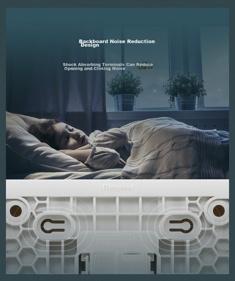 LEGRAND Switch Socket Panel, Yijing Series Deep Sand Silver Gray, Wall Socket, Five-Hole with Switch (Dual Control) 7