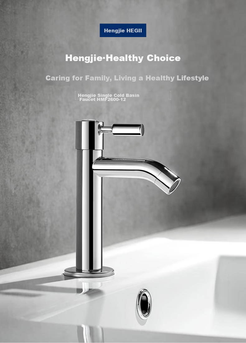 HEGII Basin Faucet, High-Leg Single Cold Water Bathroom Sink Washbasin Faucet HMF2600-12 3