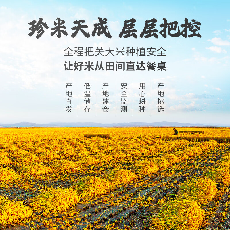 裕道府珍珠米 大米 50斤装 东北圆粒粳米25kg家庭装 当季新米