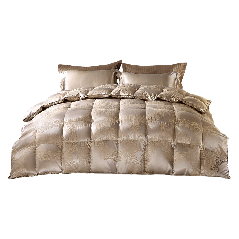 LUOLAI Home Textiles Duvet Insert, Polish Imported 95% White Goose Down Winter Comforter, 220*250cm