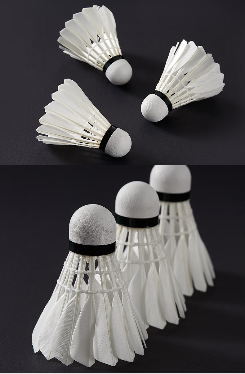 KAWASAKI Badminton Competition Training Durable Goose Feather Shuttlecocks, Pack of 10, P65 9