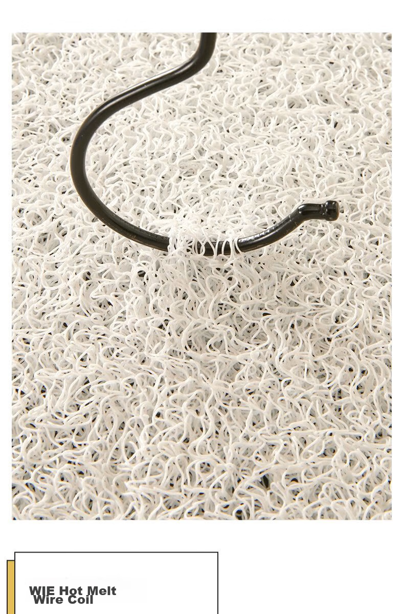 Qiqijia Entrance Door Mat, Home Use Non-Slip Foot Mat, Cartoon Silk Loop Doormat, Dirt-Scraping Door Mat, Entrance Mat 5