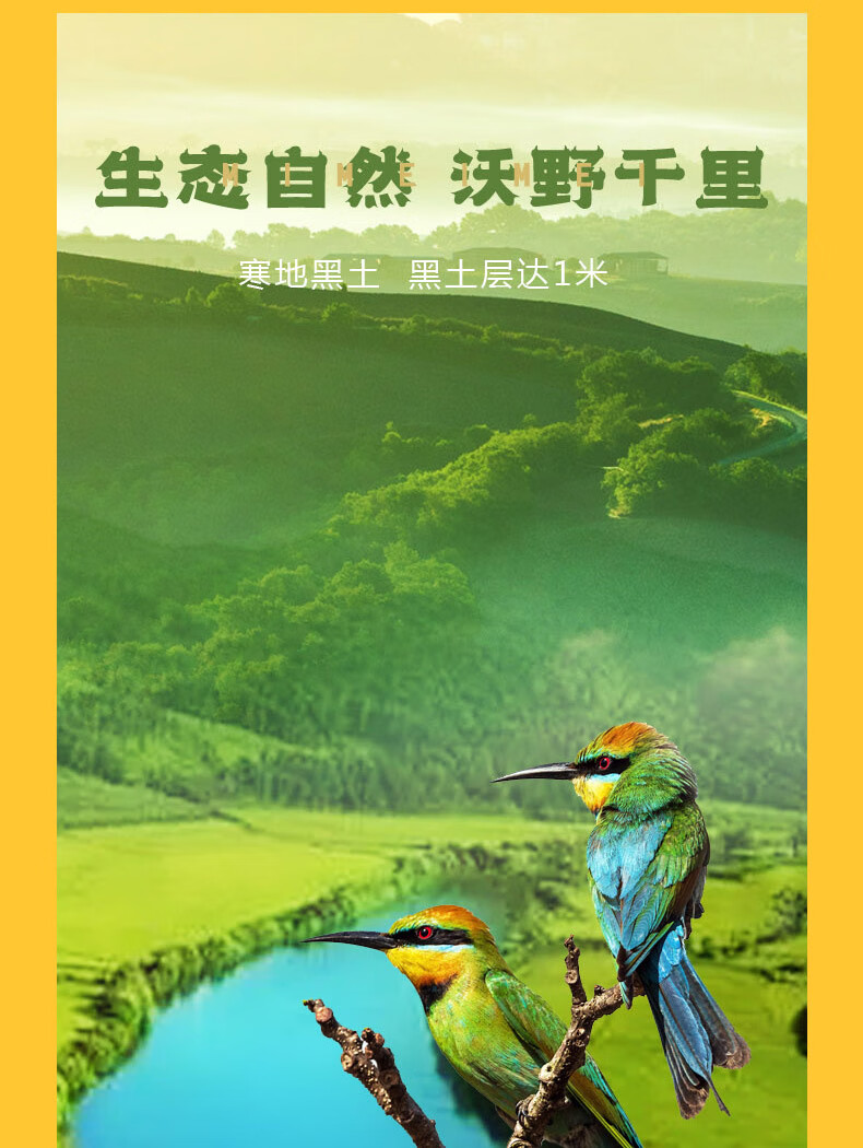 详情图.png