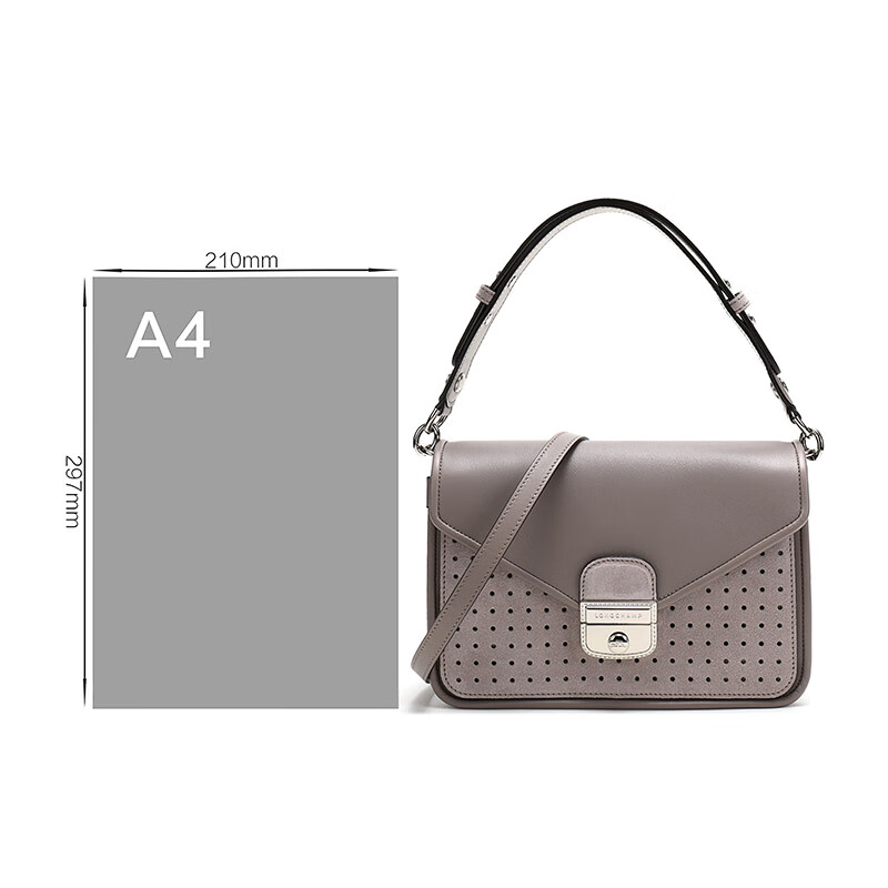 longchamp 珑骧 2020春夏 女士mademoiselle longchamp系列hobo包手提