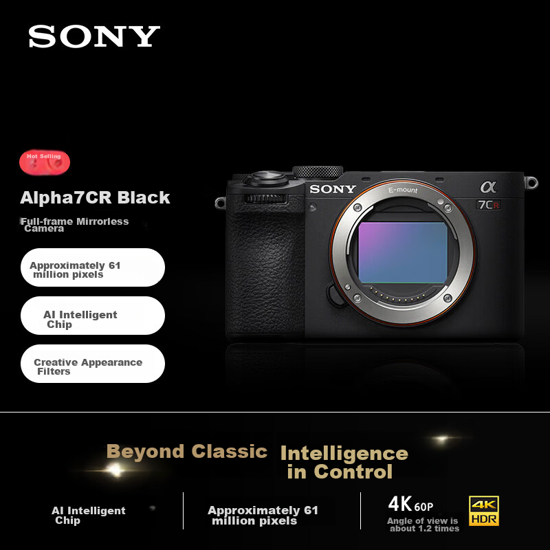 SONY [Pric-0163756