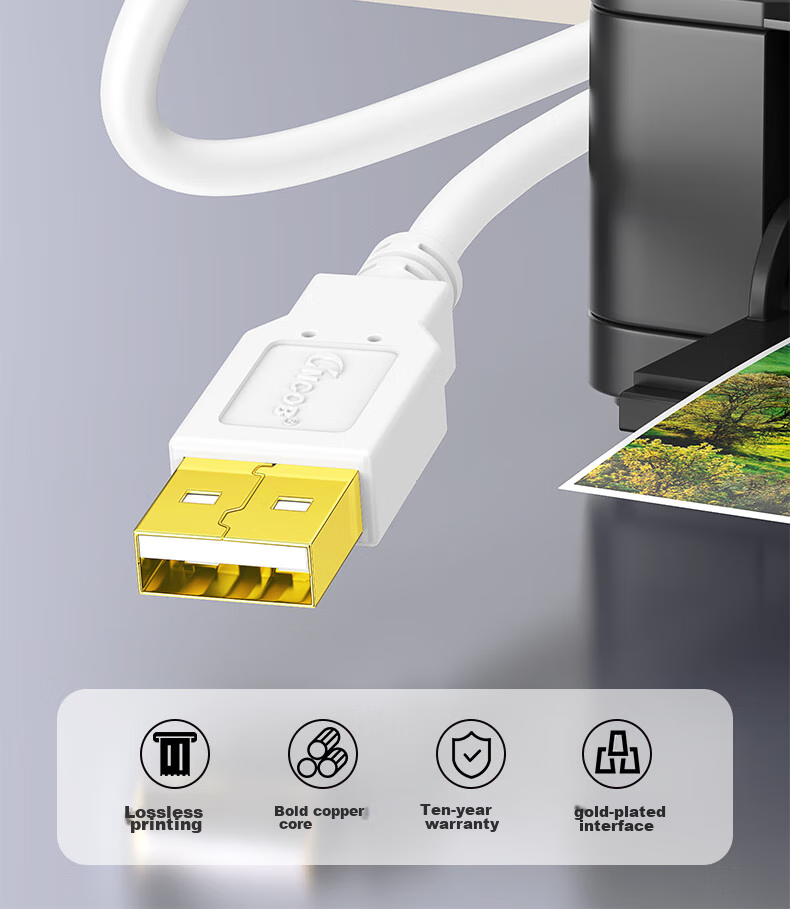 CNCOB High-Speed Printing Cable, USB2.0 AM/BM Square Connector, Universal for HP Canon Epson D-Type Printers, Extended Data Connection Cable, 2 Meters 2