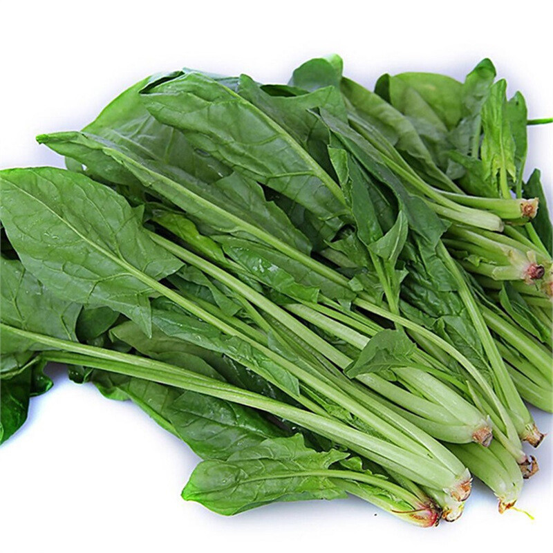鲜特莱 企业餐饮装 本地菠菜 1kg