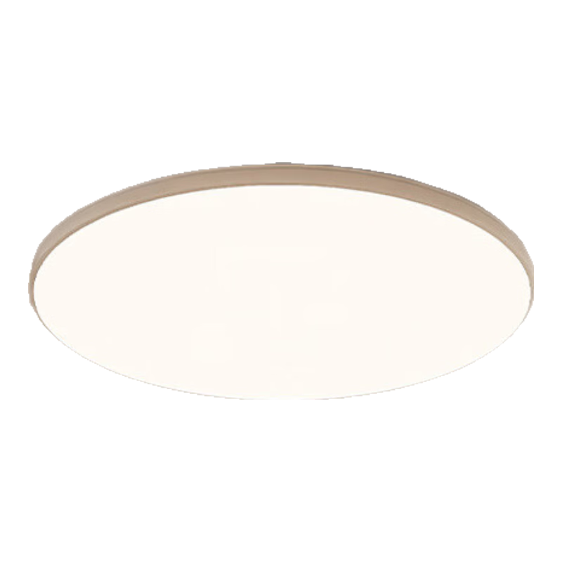 Fanyao LED Voice-Control Sensor Light Ultra-thin Three-proof Ceiling Mounted Light Stairway Corridor Smart Lamp 36W Voice-Control Sensor