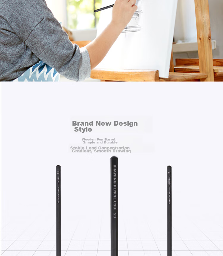 Deli Drawing Pencils, 12 Pieces, 2B Sketching Pencils, Hexagonal Barrel for Students, Black Lead Art Pencils for Sketching And Drafting, Specialized for Beginners, Back-To Stationery 10