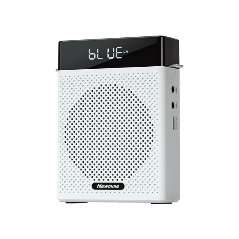 Newmine U-300 Portable Amplifier, Teacher's External Loudspeaker, Mini Portable High-Volume Teaching Speaker, Wireless Bluetooth Speaker