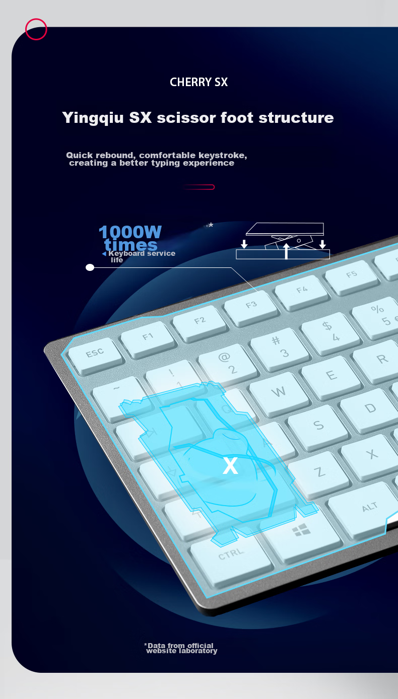 CHERRY DW9100 Wireless Keyboard And Mouse Combo, Bluetooth Dual-Mode Keyboard And Mouse, Computer Keyboard, Office And Business Use, SX Scissor Foot Ultra-Thin Keyboard, Rechargeable Black Model 10