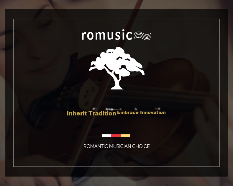 Romusic Violin Alpine Spruce Handmade Solid Wood Children's Adult Beginner Intermediate Performance RV-102Y [1/2] 18