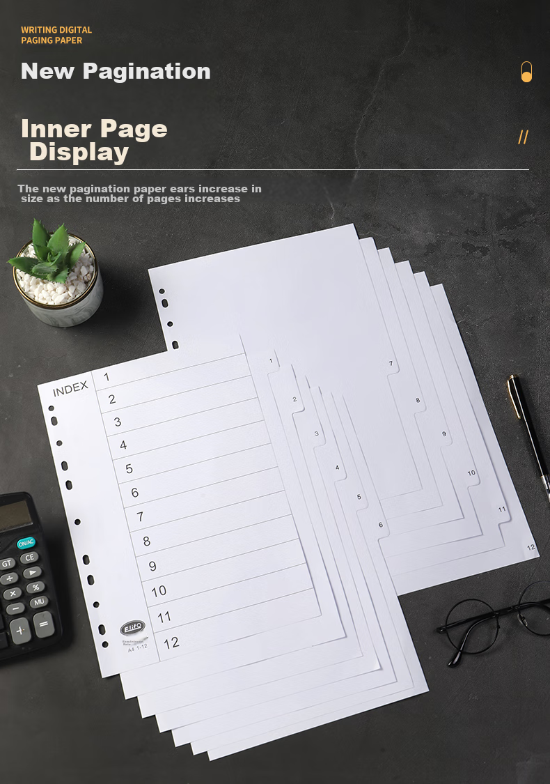 Elifo Folder, Punched Paper, Index Paper, Cardboard Dividers, A4 Label Pages, Insert Pages, Index Dividers, Classification Paper, Perforated, 10 Pages, Gray Color 4