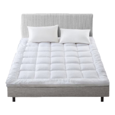Canasin Five-Star Hotel Mattress Pad, Non-Slip Foldable Embossed Fabric Protective Mat, 6cm Height, for 1.8-Meter Bed