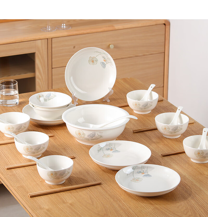 Jieyajie Ceramic Dinnerware Set, Home Use, Complete Bowl And Plate Set in Gift Box, Dishwasher Safe, 26-Piece Lotus Patter 10