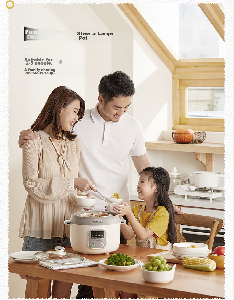 Bear Electric Slow Cooker, Soup Pot for 3-4 People, Stew Pot, Bird's Nest Cooking Pot, Soup Stewing Pot, Baby Food Cooker, DDZ-C25X6 4L with Steamer Basket 5