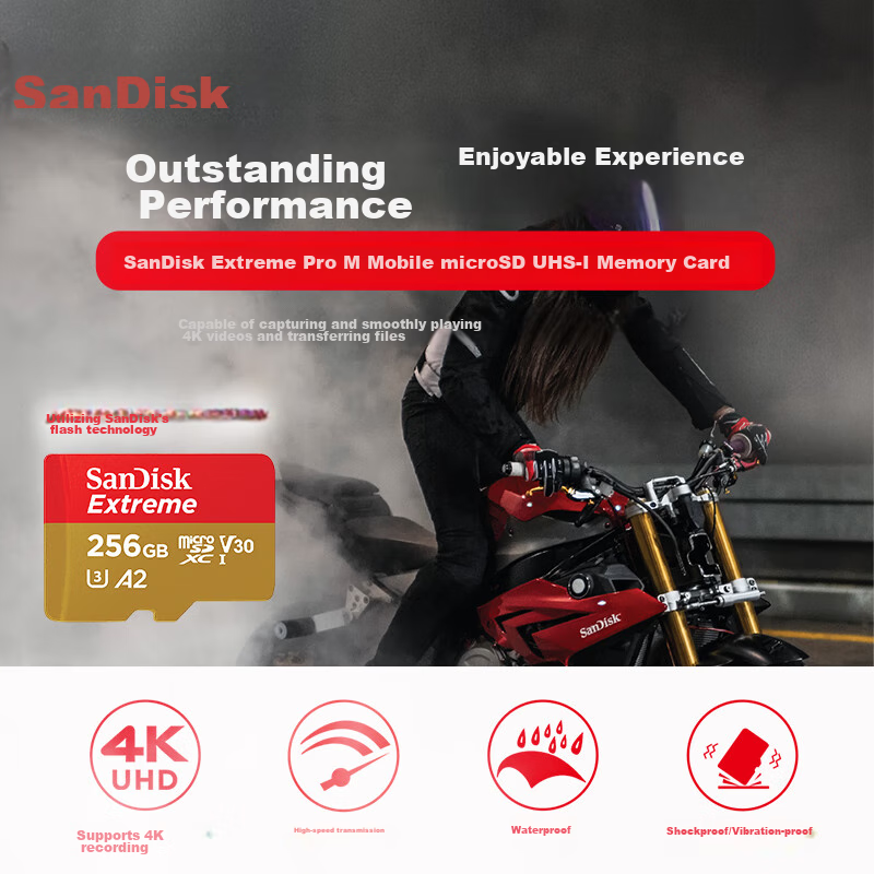 SanDisk (S-01248331